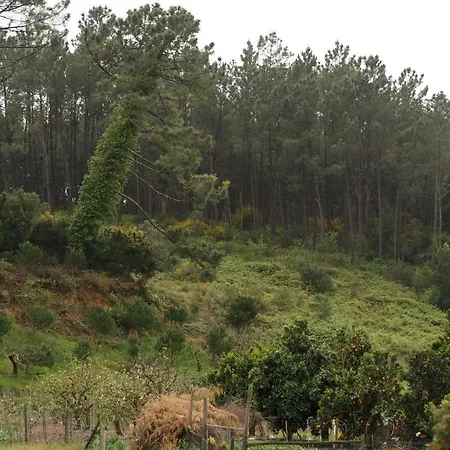 Casa Da Tia Dulce Holiday home Pataias