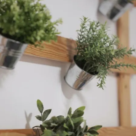 Casa Da Tia Dulce Pataias