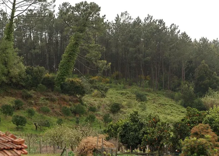 Casa Da Tia Dulce Tatil Evi Pataias